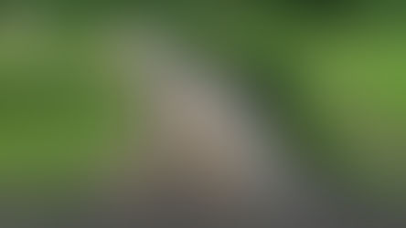 Sallapadan, Abra constructs P10M farm-to-market road projects to link remote areas