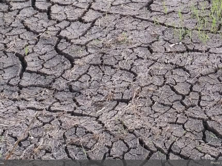 El Niño scorches 14 regions, P6.87B farm losses; Cordillera, Cagayan Valley hit