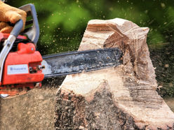 SP Kalinga upheld chainsaw regulation in Pinukpuk