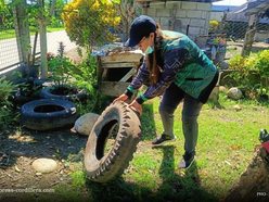 Dengue cases in Kalinga increased 335% this year; Tabuk has highest number of incidents, 582
