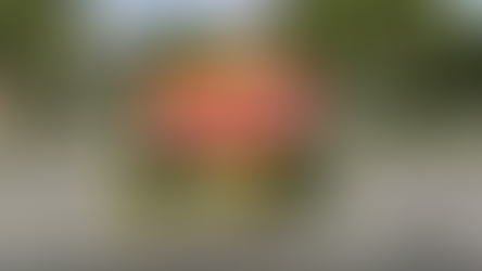 Private tricycles in Tabuk City soon to be required to display “NOT FOR HIRE” markings 