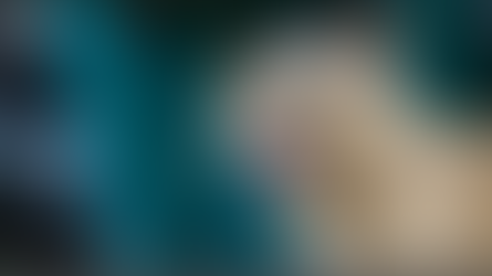 ‘41 animals test positive of Rabies in 2025, 7 were cats. Isu nga pati pusa ket maipabakuna’ - Kalinga OPVET