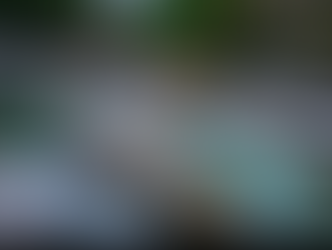 TREK IN BALBALAN: experience nature’s beauty and diverse wildlife; join LUMIN-AWA TREKKING on Feb. 5-7