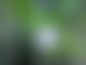 Young man dies after falling into waterfall in Allacapan, Cagayan