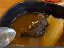 "SINIGANG NA MAY DAGA:" Baguio buffet restaurant under fire after viral rat-in-soup video