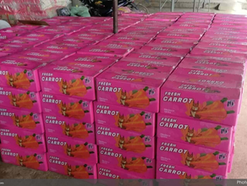 Cordillera vegetables pushed aside as imported produce floods Manila 