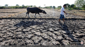 Brace for ‘Super’ El Niño: PAGASA warns severe dry conditions loom by late 2026