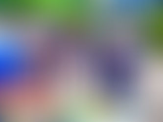 3 tourists visiting Kalinga caught transporting P.4M Marijuana 