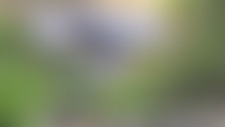 1 dead, 5 injured after car fell into ravine in Bontoc