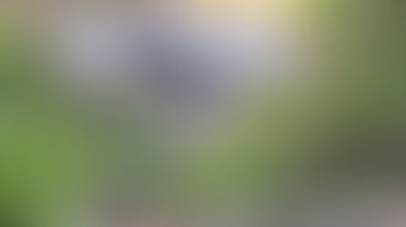 1 dead, 5 injured after car fell into ravine in Bontoc