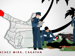 Intoxicated rider dies after crashing into coconut tree