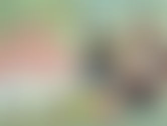 Mt. Province to host 35th Cordillera Anniversary