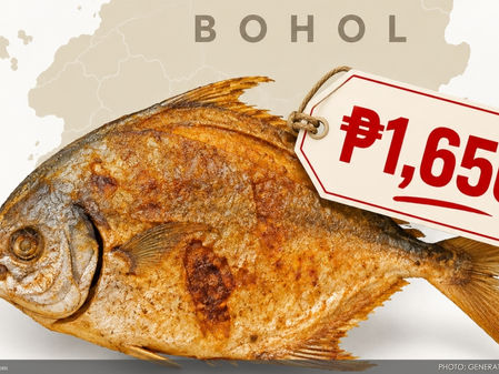 ₱1,650 Pompano: Will tourists still visit bohol if paradise comes at a price?