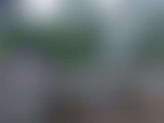 26-yr.-old brgy. kagawad in Tabuk City builds footbridge using own resources 