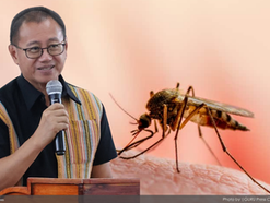 “Lesser Lamok, Lesser Infection”: Kalinga PHO Tandingan calls for community action against Dengue and rainy season diseases