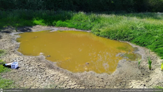 BFAR-Kalinga delays fingerling distribution as El Niño dries ponds, threatens fish production