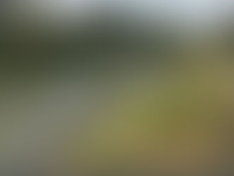 9-yr.-old boy drowns while swimming in Tabuk irrigation canal