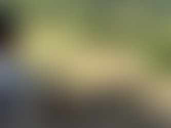 “I instructed…to make sure that the slain rebel be given a decent burial… Makipakaasiak nga bumaba kayon (NPAs) ta adda met isabat mi nga pagrugian yo…” – Governor Edduba