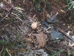 Skeleton found in Ifugao, identity and cause of death under investigation