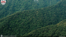 Sierra Madre protected Luzon from worse amid Super Typhoon Pepito – PAGASA