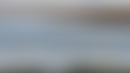 Wings Over Bacut Lake: Over 2,000 Asian waterbirds flock to Santa Marcela