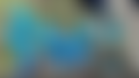 Elusive Jade Vine blooms in Calanasan, Apayao