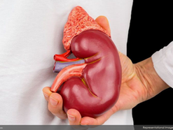 Chronic Kidney Disease now Baguio's top leading cause of death 