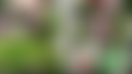 P77.2M road rehabilitation connecting Bangued and Tayum, Abra underway