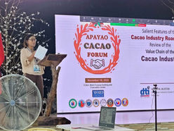 Apayao pushes to upscale cacao industry and boost production