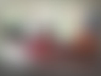 Tanudan Sangguniang Bayan assigns chairpersons, members of different committees for legislative work