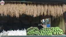 From Farms to Festival: Kalinga Bodong Agro Fair 2026 opens Feb. 12–14, seeks to boost agro-tourism and local livelihood