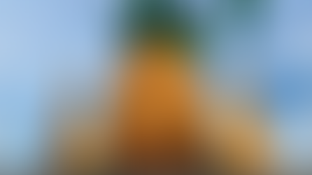 Giant 23.6-foot pineapple becomes Gonzaga's newest symbol of agricultural success as town launches first Pineapple Festival