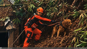 “Zuma” the rescue dog and his owner answer the call in Baguio landslide