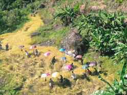 yBalbalan farmers back to work after recent gunfights are over