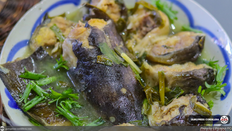 “NO IGAT FOR WOMEN”: Why Southern Pinukpuk forbid women from consuming eel