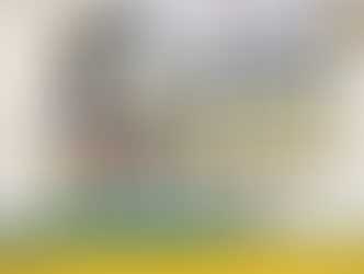 Santa Marcela Taekwondo team finishes second runner up, wins 9 medals in regional competition