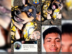 Investigation urged against man over video of puppy being fed to pet python in Cagayan