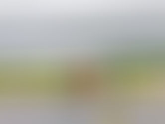 19-year-old student in Cagayan attempts jumping off Josepha Bridge 