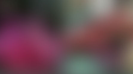 Baby girl found abandoned inside ‘Eco-bag’ in Pinget, Baguio City