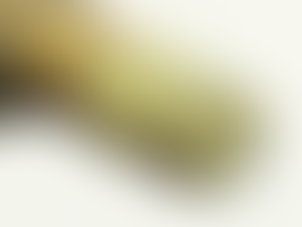 Corrosion Resistance in Metal Fasteners: What You Need to Know