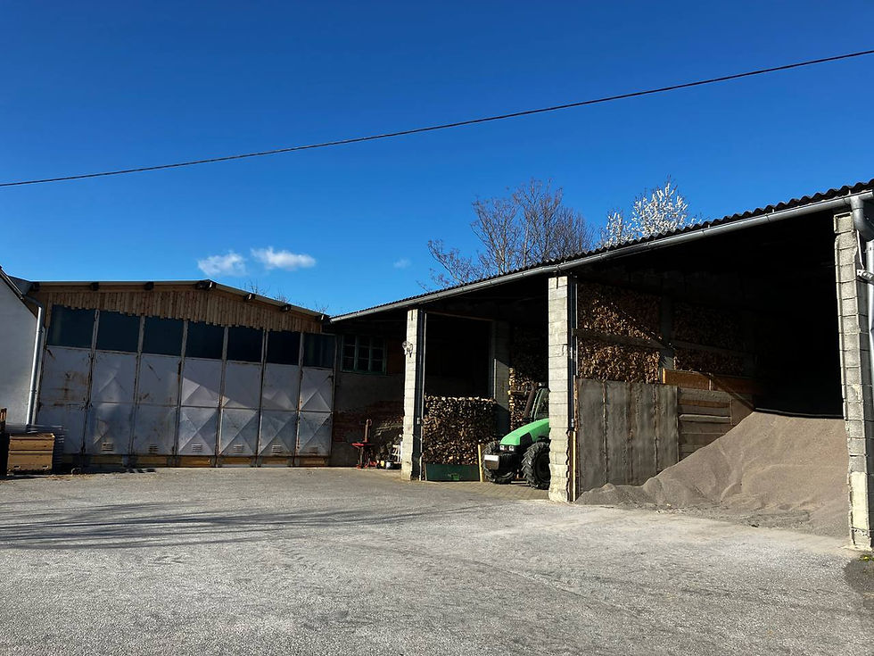 photo_2025-04-06_19-03-43