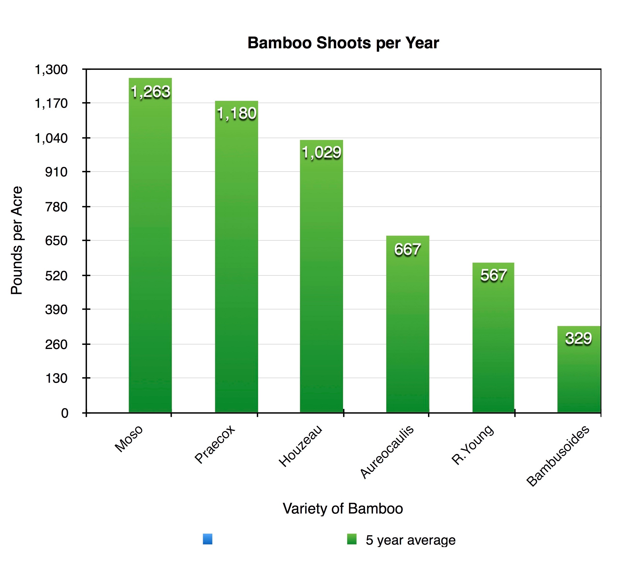 moso bamboo growth rate from seed moso bamboo growth rate from seed