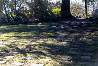 Mortimers-110_edited.jpg