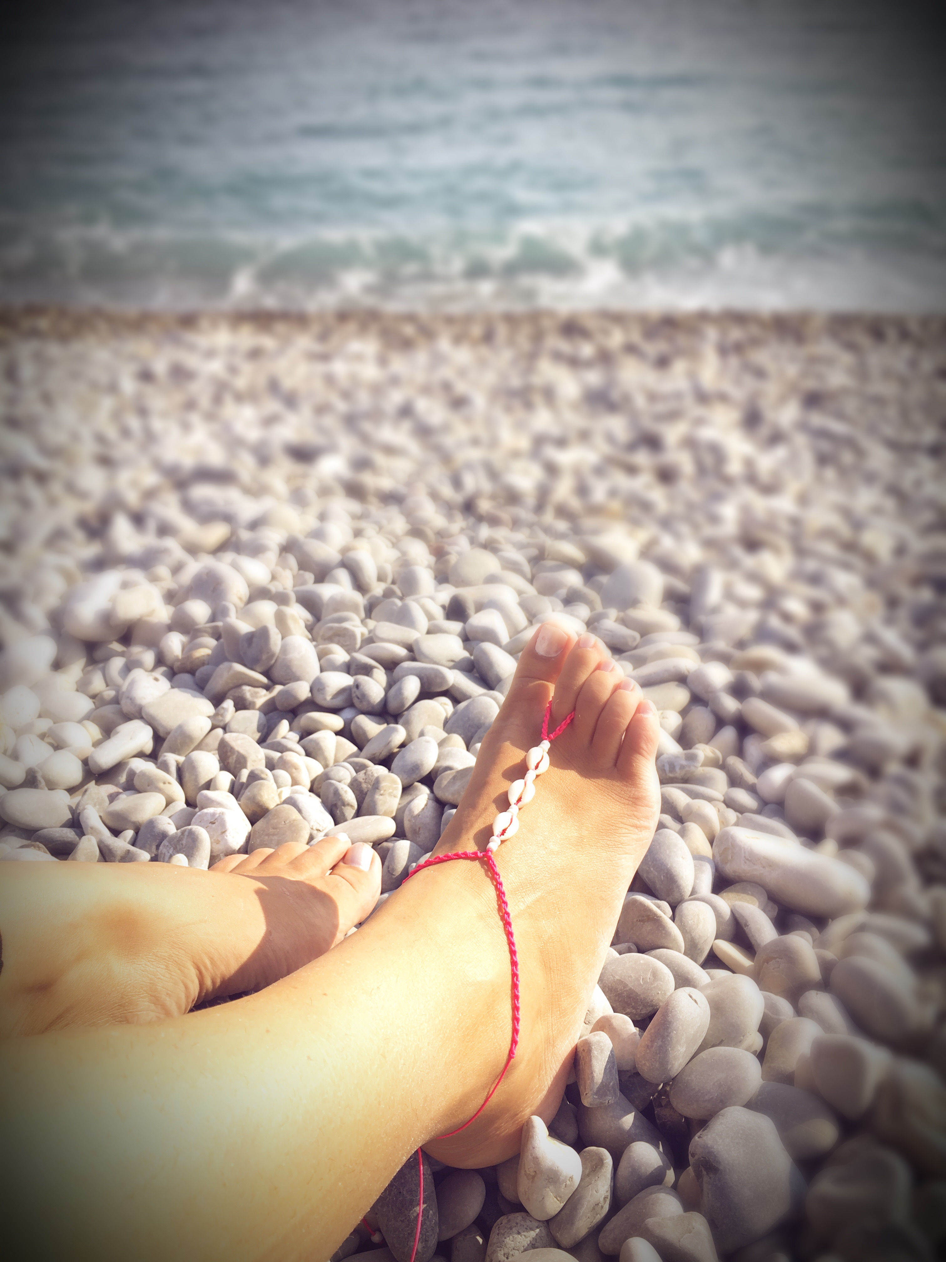 SeaShell Rose