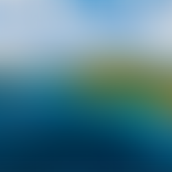 The Last Unspoiled Jewel: A Journey to Guana Island