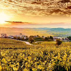 Bulgaria moves to the Green List