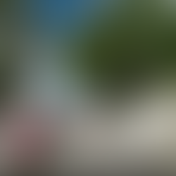 Sandy Lane Virtual Tour