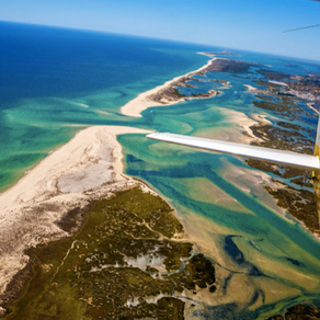 October Newsletter - Current Offers And Festive Availability