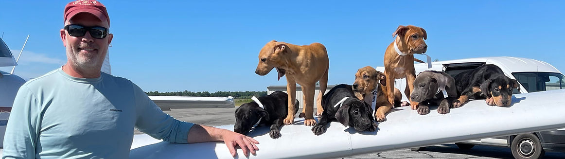 Puppies Trip_edited.jpg