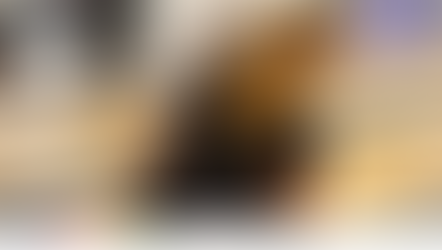 Solør Bowlingklubb tildelt 15 000 kroner gjennom «Ekstrainnsats i idretten, høst 2025»